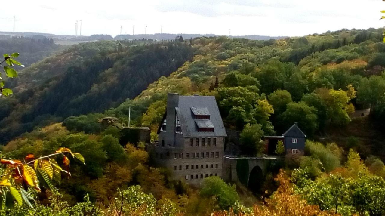 Ferienhof Mies Steffenshof Екстериор снимка
